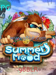 Descubra o Fascinante Mundo de SummerMood: Novo Jogo de Tabuleiro para a Temporada